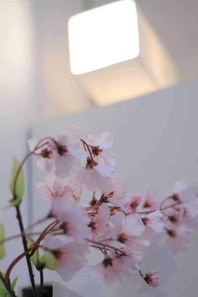 Bhotel Ball Park - Newlybuild 2 Bedrm Apt 2 Mins Baseball Museum 4Ppl Hirosima Kültér fotó